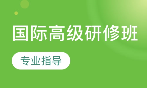 国际高级研修班